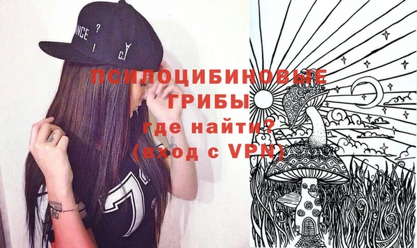 экстази Арсеньев
