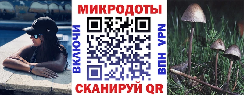Галлюциногенные грибы Psilocybe  Бологое 