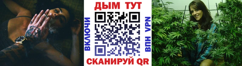 Конопля гибрид Бологое