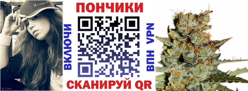 MEGA ТОР  Бологое  Бошки марихуана план 